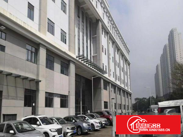 数据库厂房深圳大工业区红本21万平出租