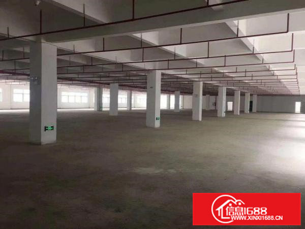 桥头镇大洲新空出原房东标准一楼800平方厂房出租，