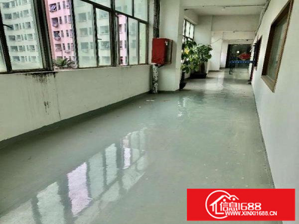 坂田亚洲工业园新出238平430平718平956平带装修出租