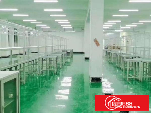 清溪三中工业区新出原房东三楼一整层800平带现成精装修地坪漆