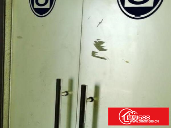 新装修115平225平1260平厂房仓库出租