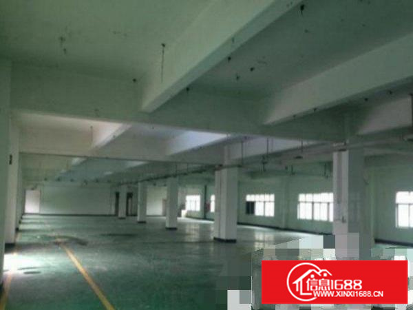 平湖山夏1200平方楼上厂房带办公室装修抢租