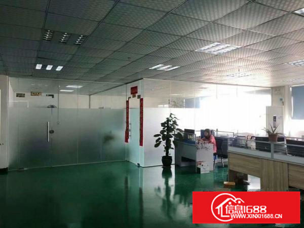 大浪新百丽旁出3楼360平带精装修适合电商办公贸易