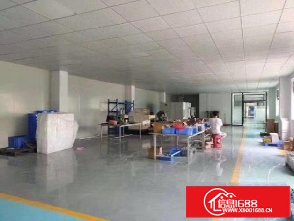 大利新出豪华装修厂房！