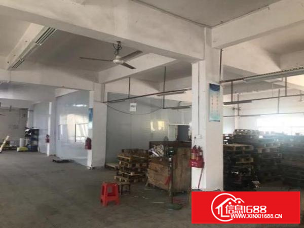 石排镇原房东独门独院厂房9600平米