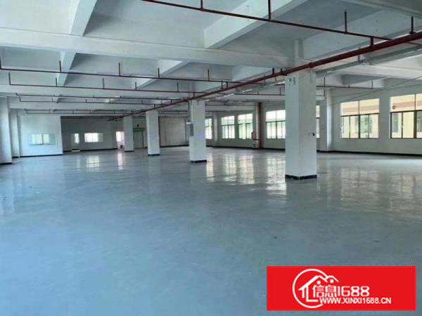 卢边独院分租二三楼每层1500平方