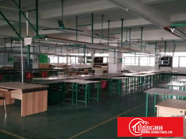 大亚湾西区独院厂房楼上1400平方，有电梯