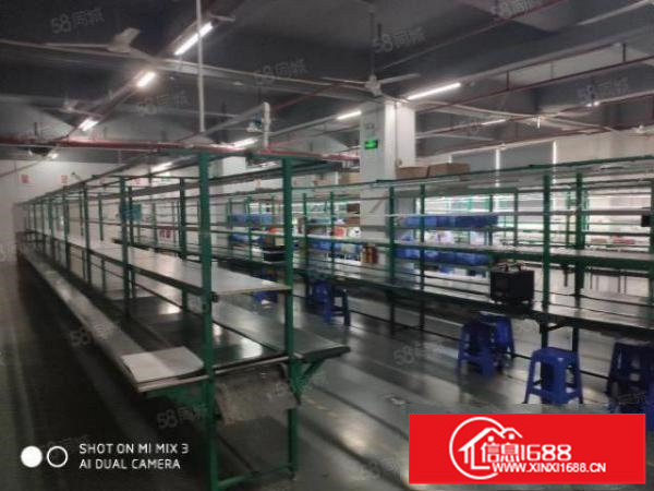 松岗大田洋3楼精装修1200平方独门独院原房东