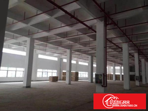 桥头镇大洲新空出原房东标准一楼800平方厂房出租，