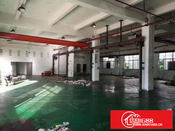 18块起，桥头杜岗头原房东标准一楼780平，精装修