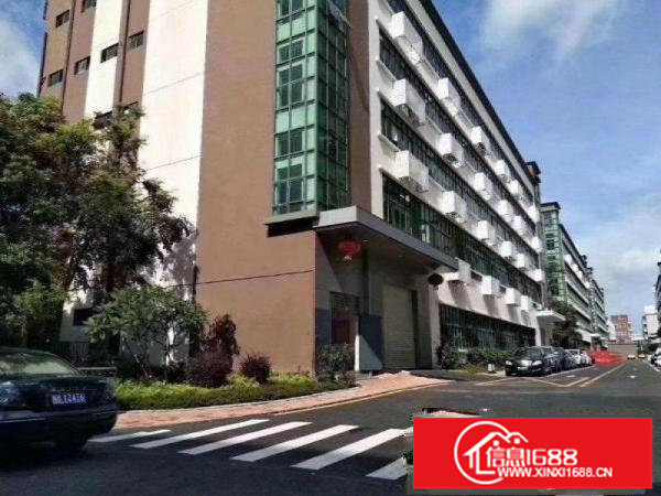 坑梓秀新新空出1楼2楼共5500平米带装修厂房出租（可分租）