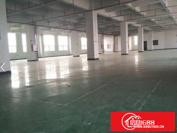 龙岗区龙城新岀独门独院3000平带精装修厂房招租