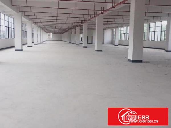 新出标准二楼1000平方，租金便宜可分租