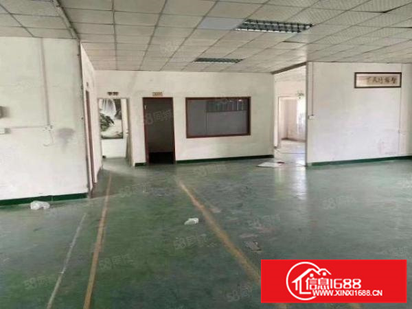 观澜福民龙观快线边上新出带装修560平方出租