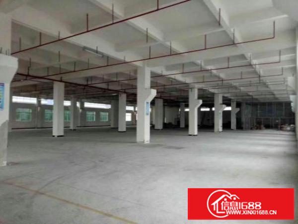 万江万江周边工业区标准一楼1000平方招租水电齐全