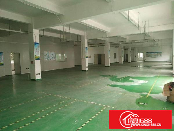 龙岗爱联厂房出租1200平3000平带装修空地大可分租