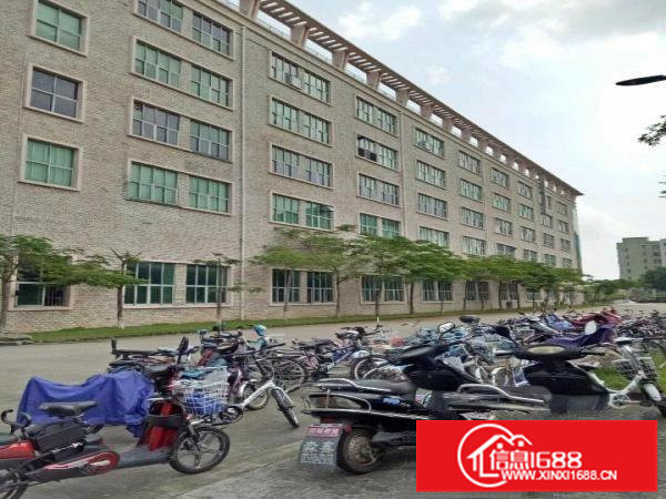 坪山区坑梓龙田社区一楼厂房2750平米招租有红本