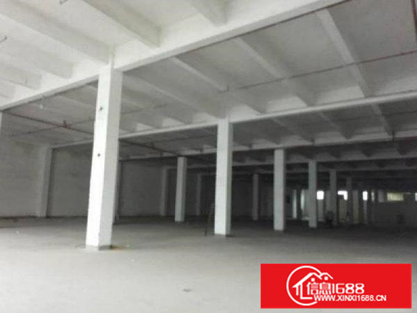 坑梓金沙新出7米高标准1楼厂房10000平米，可分租