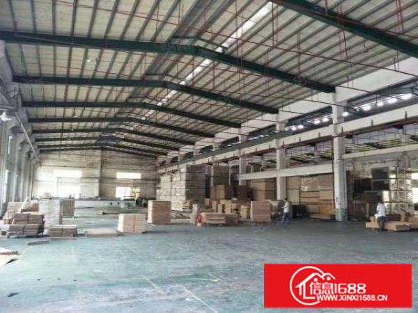 清溪大利村新出5500平方滴水9米高单一层厂房出租