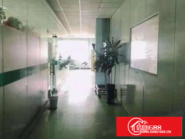 10米高带卸货平台塘厦龙背岭单一层钢构1900平空地大