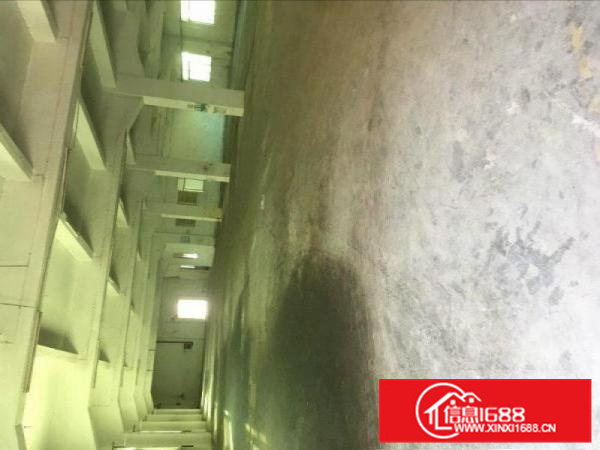 惠阳秋长独院厂房约1万平出租