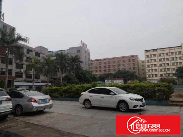 凤岗油甘埔新出1000平房原房东厂房出租，200平方起分租