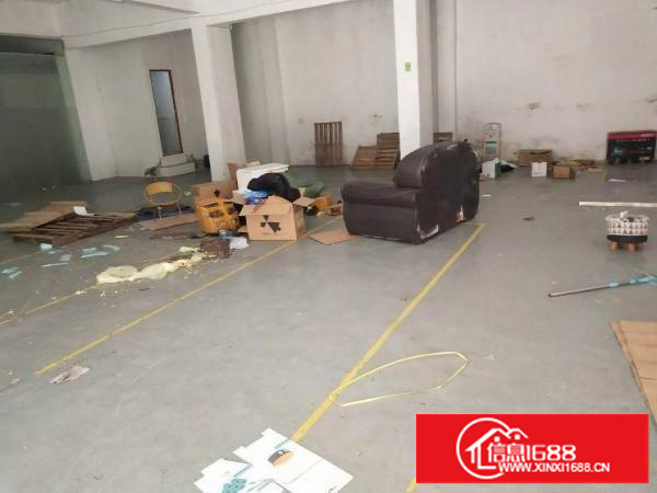 出租坂田光雅园精装修厂房350平方