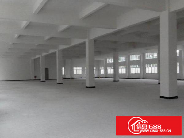 万江新出一楼7米高带牛角，采光通风，1600平厂房出租可分租