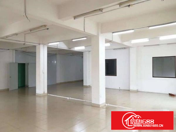 原房东独院办公室厂房仓库，带装修出租