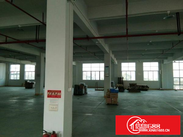 平南天好工业园标准厂房一楼层高6米4500平招租