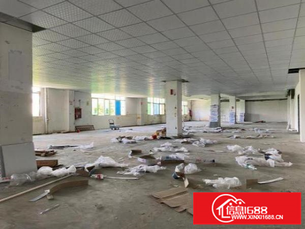 观澜新田环观南路边上整层厂房1450平对外出租