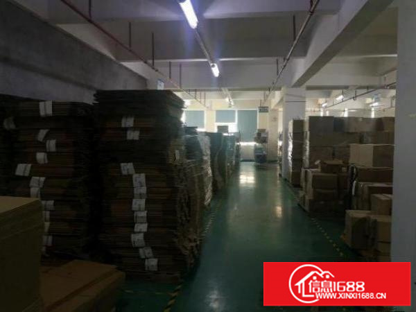 观澜1600平厂房仓库出租