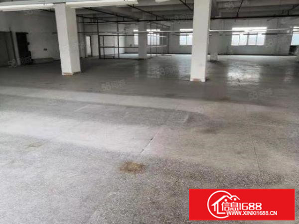 寮步向西原房东标准厂房1500平方出租带现成办公室装修