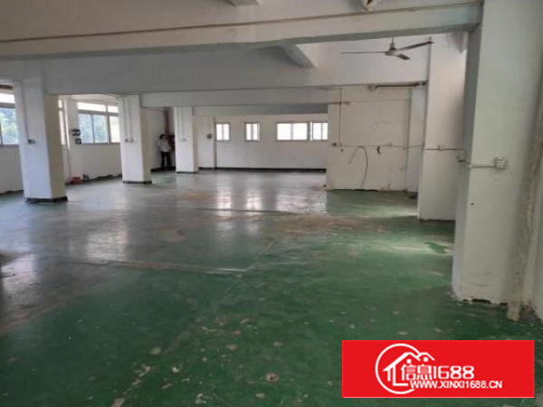 沙井新出楼上330平厂房适合小加工等价格实惠