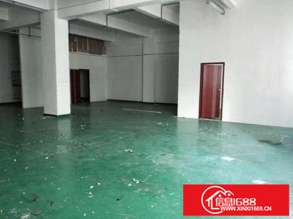 坂田坂雪岗大道新房源！厂房380平方便宜出租，使用率高