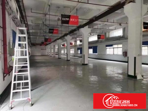 石排镇利屋附近带牛角原房东厂房出租厂房面积13层4800