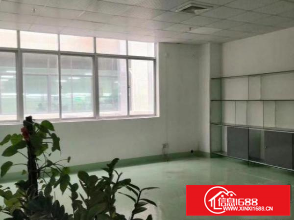 龙璧工业区利金城工业区附近百利路