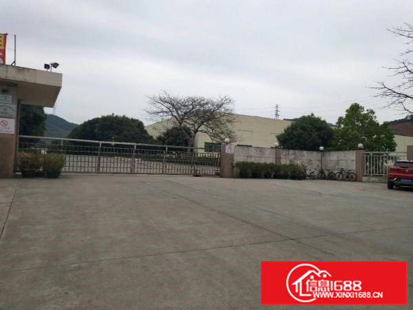 凤岗10米高钢构3万多方火爆招租