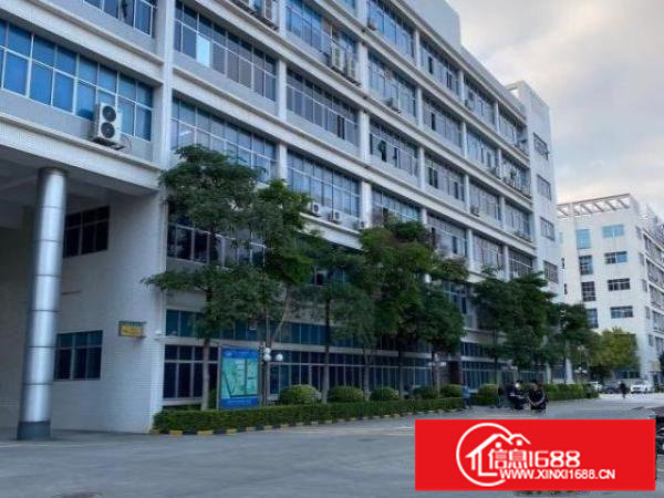 龙岗布吉慢城附近新出1800平，精装修，水电齐全，超大空地