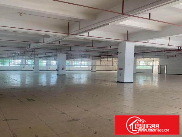 虎门原房东出租厂可办各个行业环评，靠近沿江高速1公里。