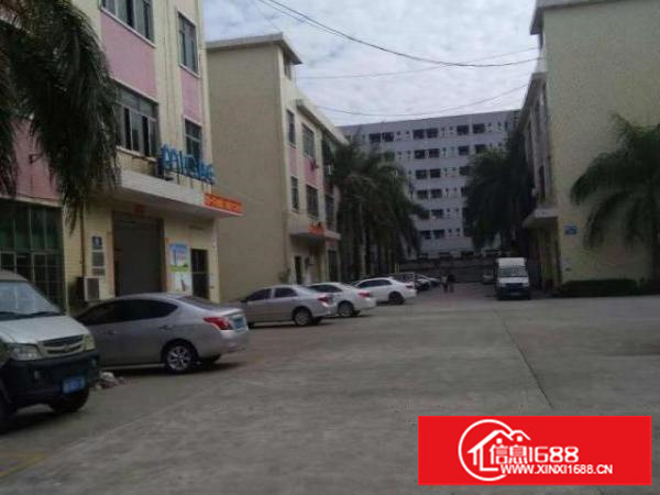 龙岗周边酸洗，氧化，钝化，电解厂房480平起招租