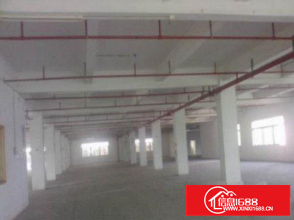 万江简沙洲港口大道边3楼4500平方厂房仓库出租