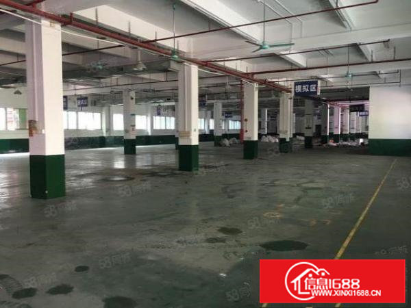 寮步镇新出独门独院标准厂房1万平方带独立办公楼