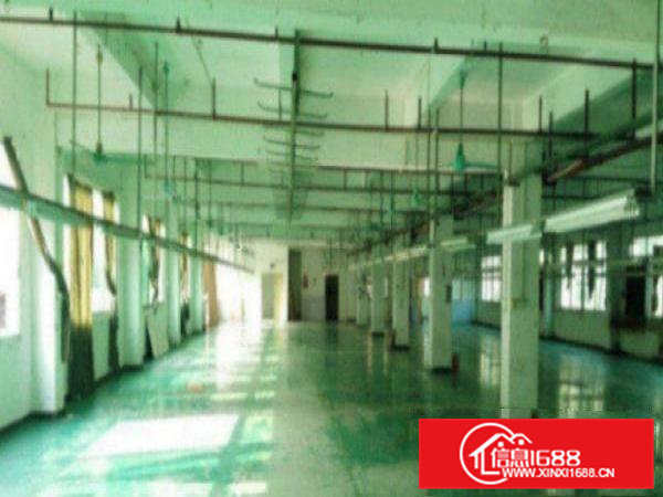 高埗标准一楼厂房500-5000平米低价招租可装行车,成熟工