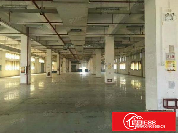 大岭山原房东独院厂房出租