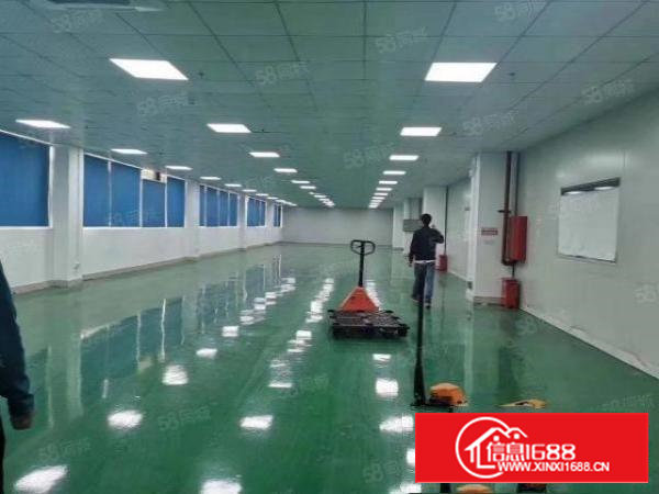 臣田宝田工业区1300平米带装修厂房出租