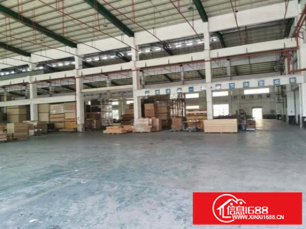 单一层钢构厂房园区环境高端大气上档次