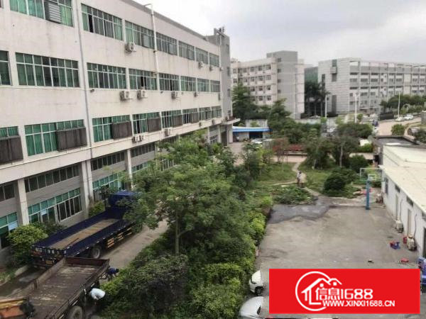 大朗富民工业城空出一楼1450平，高六米，带行车带办公室装修