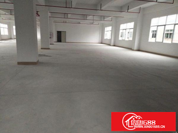出租龙岗区横岗楼上厂房1200平米带吊顶地坪漆