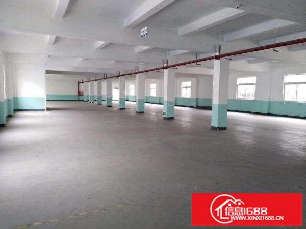 横岗四联路边上新出1250平米厂房出租可分租带装修